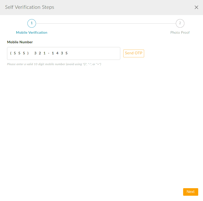 Self-Verification Steps