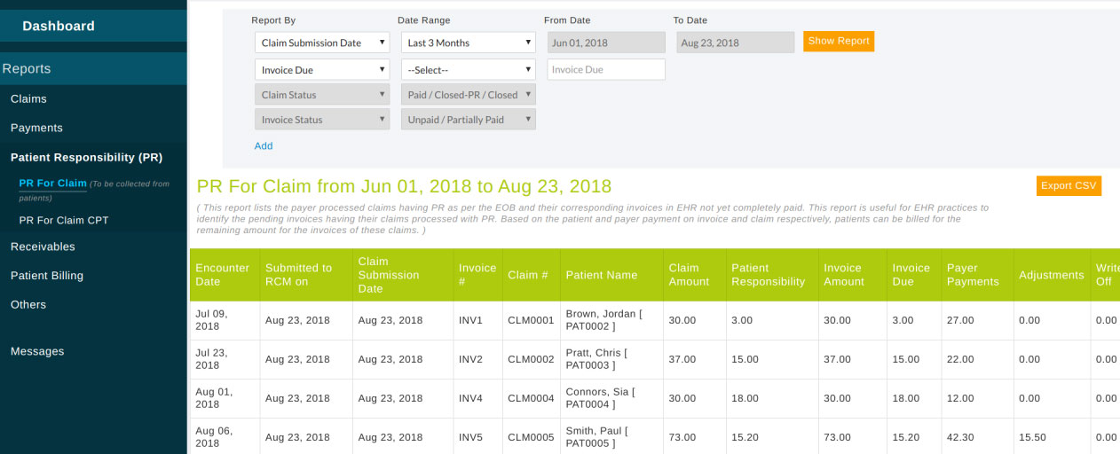 Patient Responsibility Report