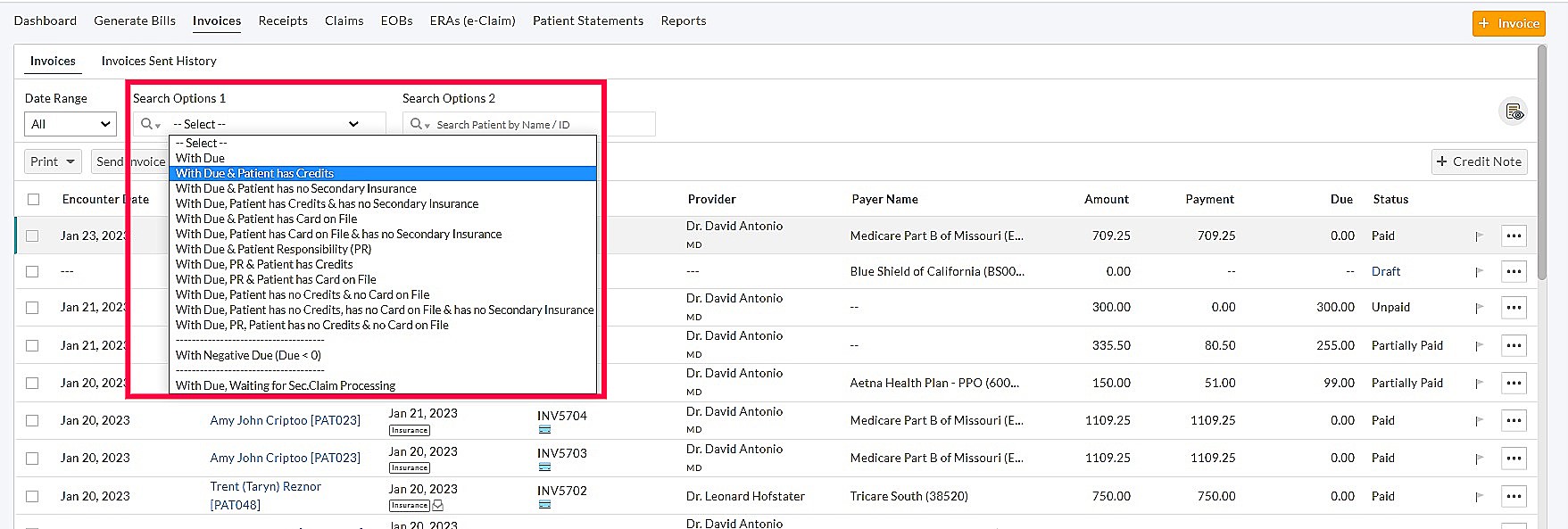 Invoice Search Options
