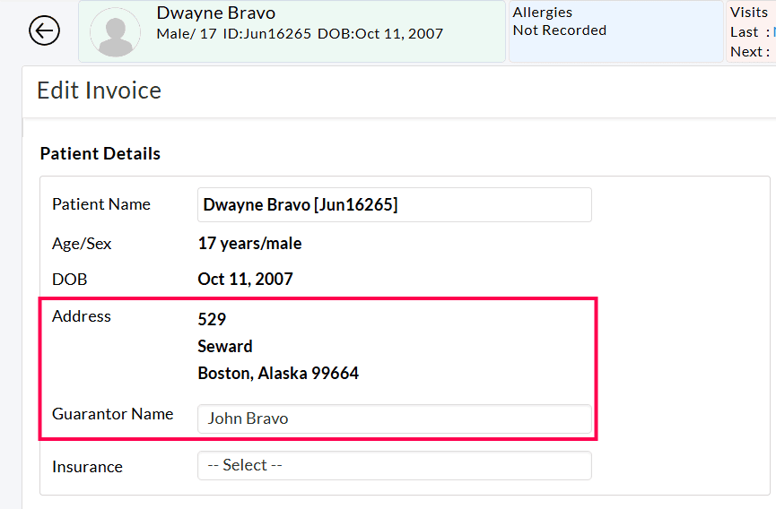 Invoice Summary Guarantor Details Invoice Summary Guarantor Details