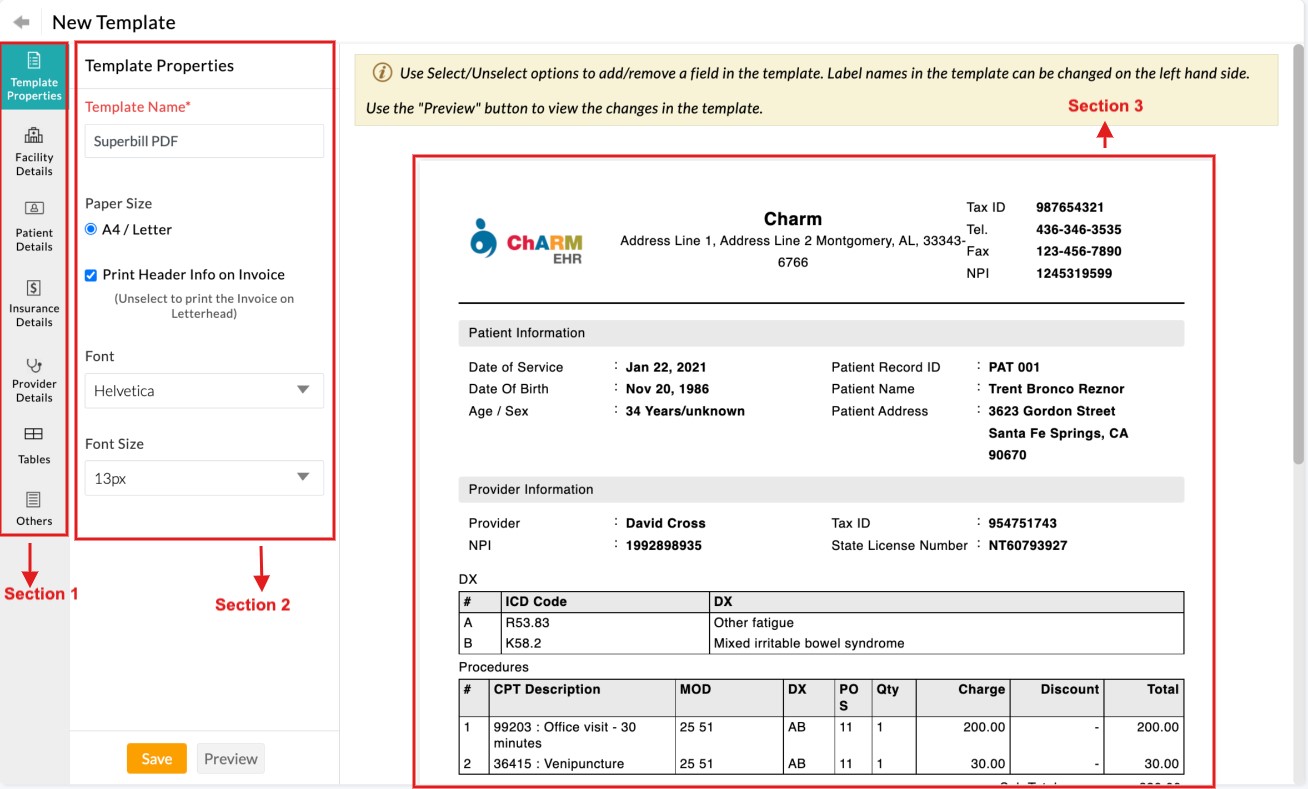 Invoice Template Customization Invoice Template Customization