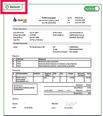 Invoice Template Options Invoice Template Options