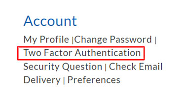 Two-Factor Authentication Option