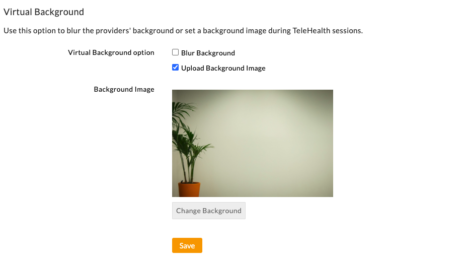 Virtual Background for TeleHealth