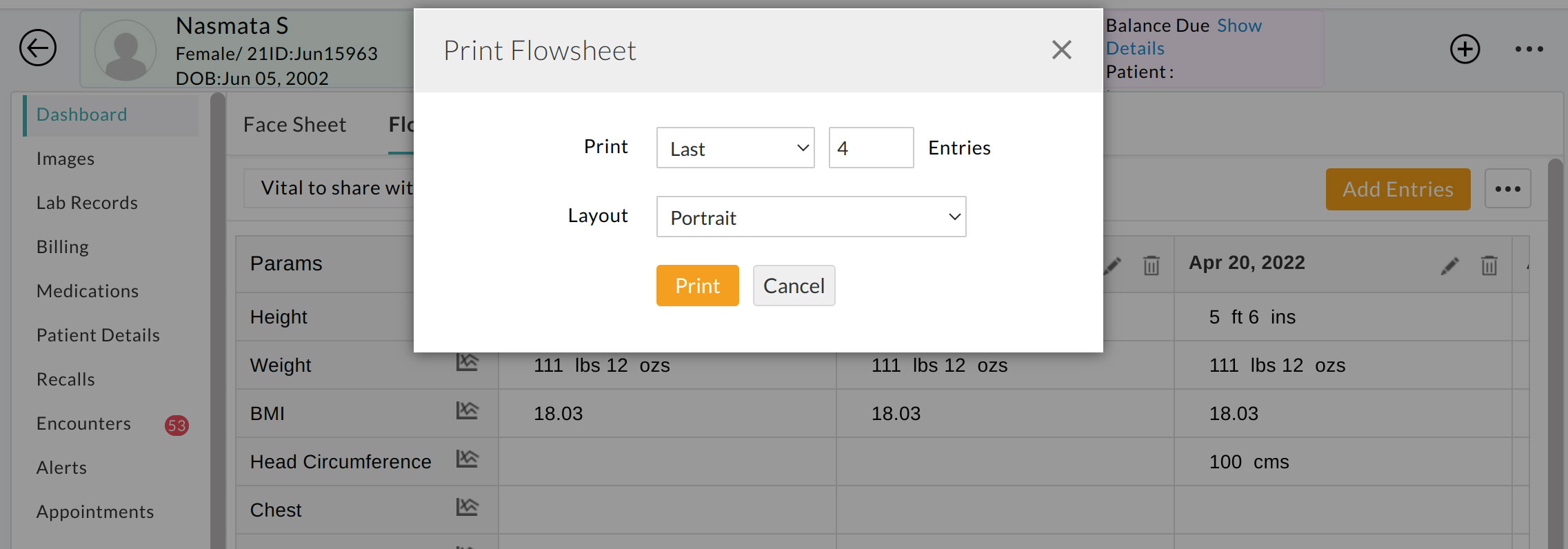 Print Flowsheet